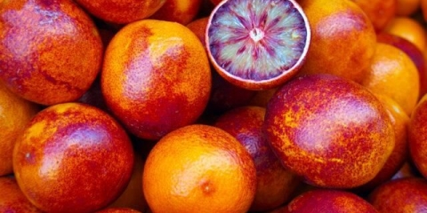 Tinktura narandže na votki kod kuće